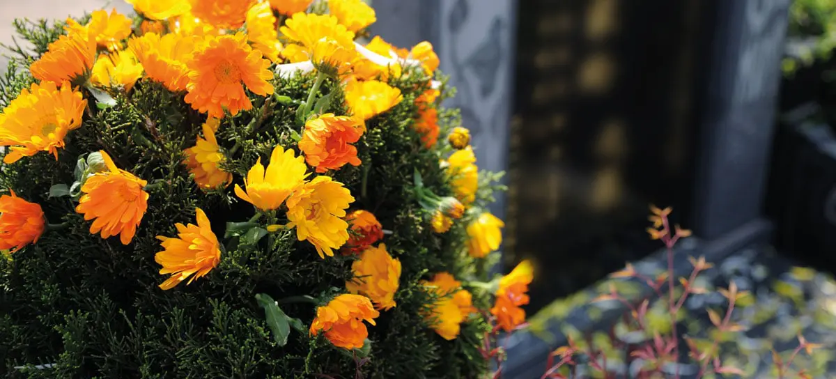 Grabpflege bei Blumen Holler: die richtige Auswahl der Pflanzen